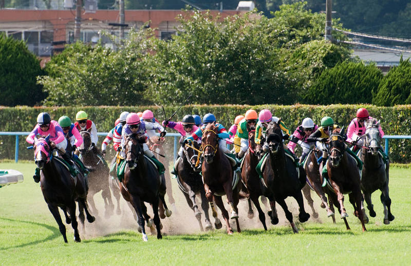 競馬は侮れないのか？？ バナー