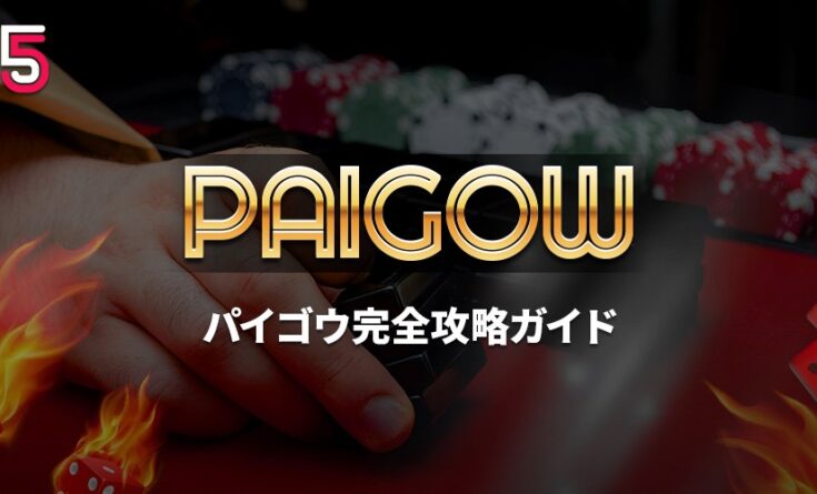 パイゴウ トップバナー