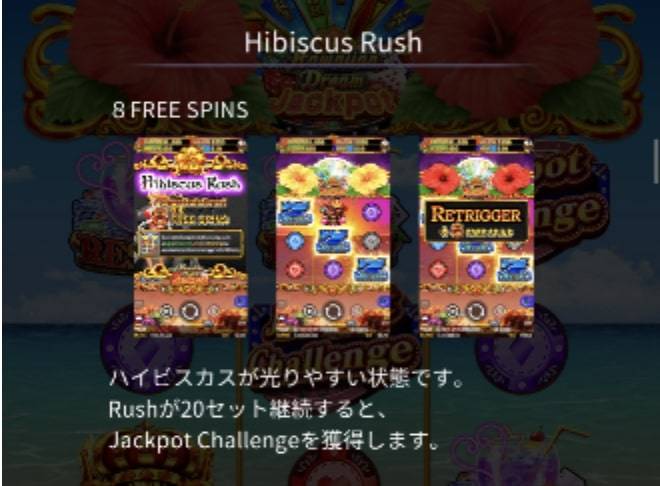 ハイビスカスラッシュ