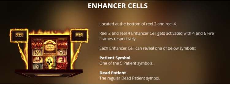 Mental enhancer cells