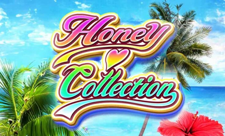 Honey Collection (ハニーコレクション)のヘッダー画像