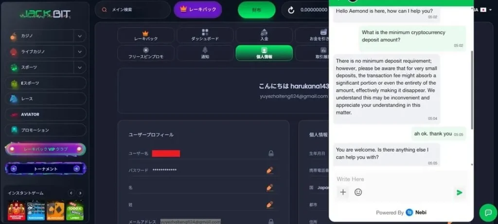 ジャックビットのサポートに実際に問い合わせてみた結果