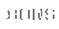 ボンズカジノ logo