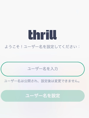 スリルカジノの登録方法(ステップ5 ユーザー名を入力)